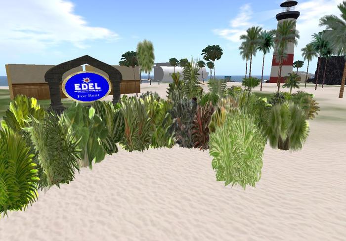 Sculpty Tropical Plants Trees  BOX