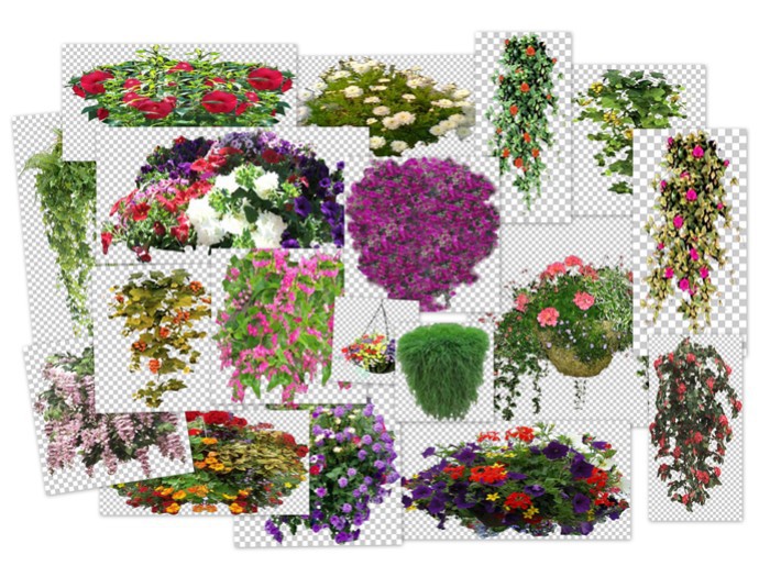 hanging basket flower alpha textures