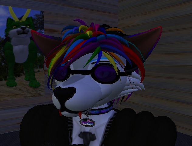 furry Goggles