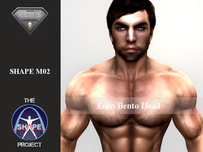 [TSP] AESTHETIC (Enzo bento) Shape M02