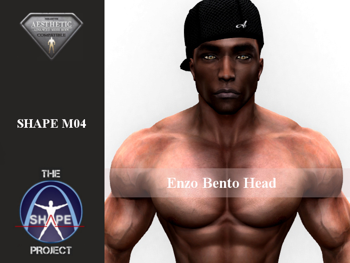[TSP] AESTHETIC (Enzo bento) Shape M04