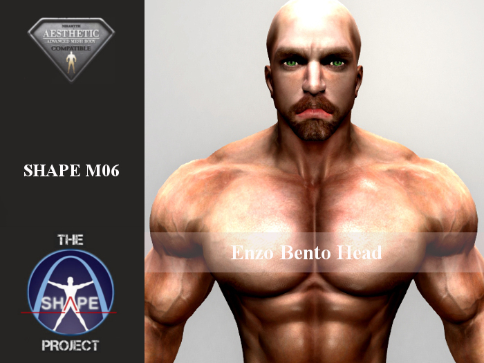 [TSP] AESTHETIC (Enzo bento) Shape M06