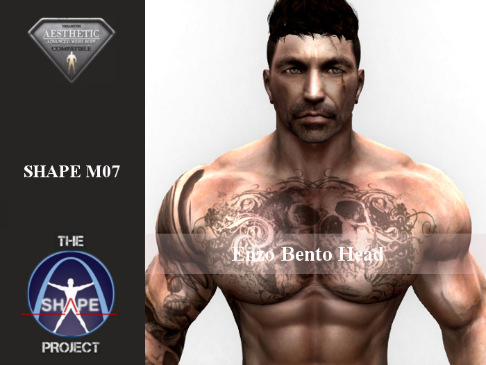 [TSP] AESTHETIC (Enzo bento) Shape M07