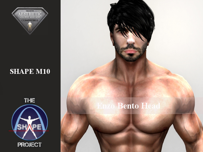 [TSP] AESTHETIC (Enzo bento) Shape M10