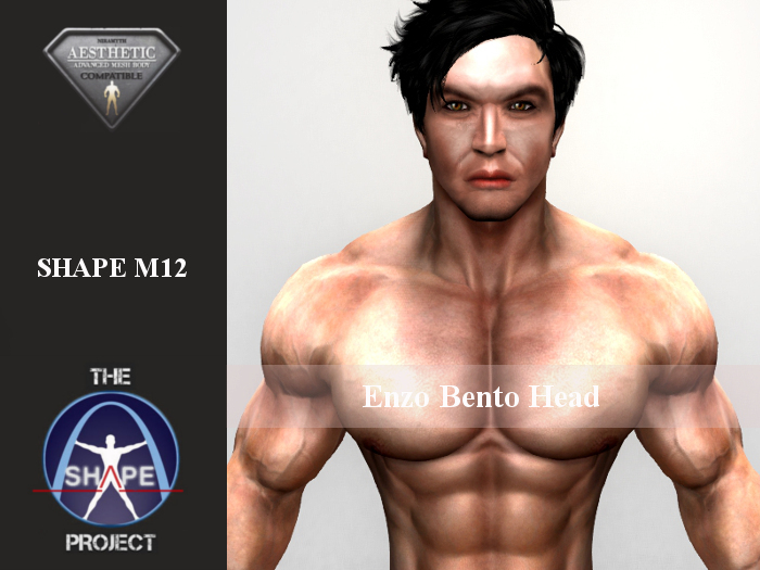 [TSP] AESTHETIC (Enzo bento) Shape M12