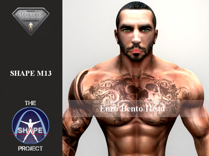 [TSP] AESTHETIC (Enzo bento) Shape M13