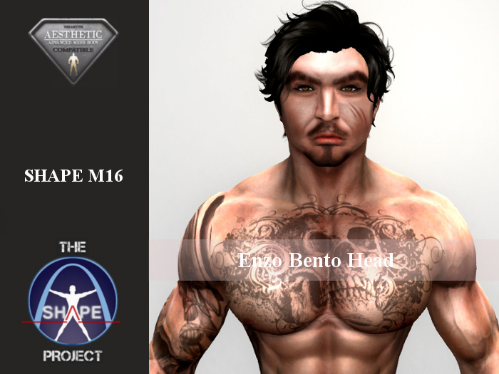 [TSP] AESTHETIC (Enzo bento) Shape M16