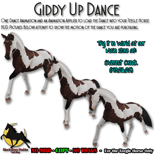 [BTS-TH] Giddy Up Dance (boxed)