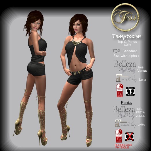 Tess : TEMPTATIONS Short & Top Mesh