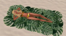Palm Sunbathing Towel