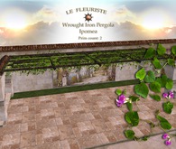 Fleuriste*Wrought Iron Ipomea