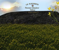 Fleuriste*Flowery Meadow Yellow