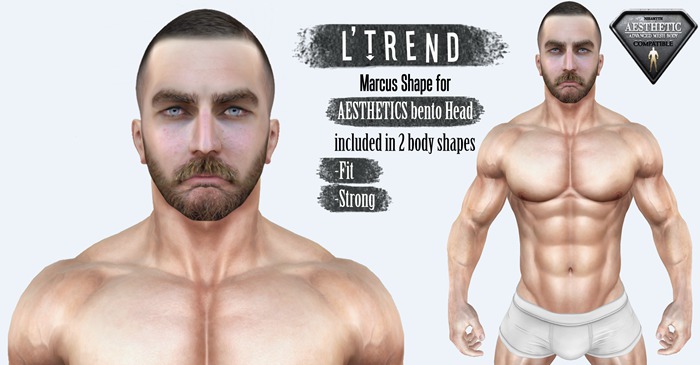 L'TREND - Shape Marcus  ( AESTHETICS )