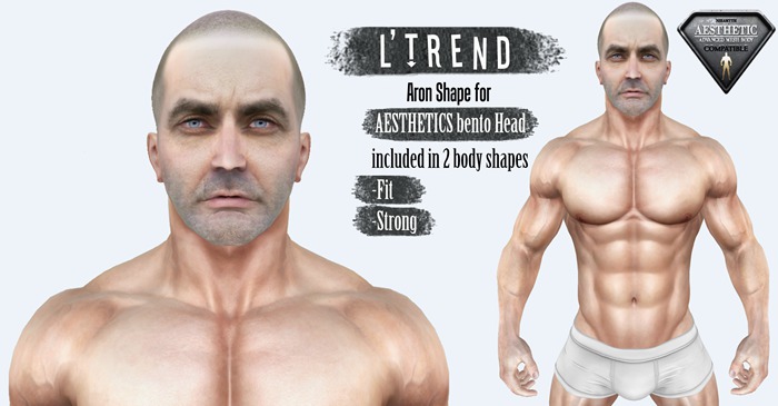 L'TREND - Shape Aaron  ( AESTHETICS )