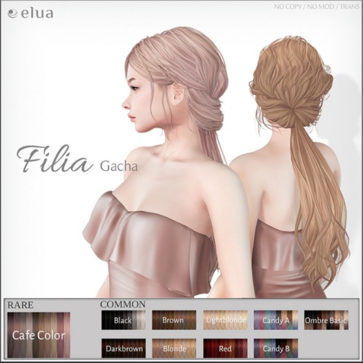 1.+elua+ Filia_Cafe color_ RARE