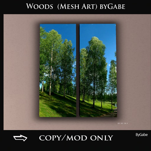 Woods  (Mesh Art) byGabe  