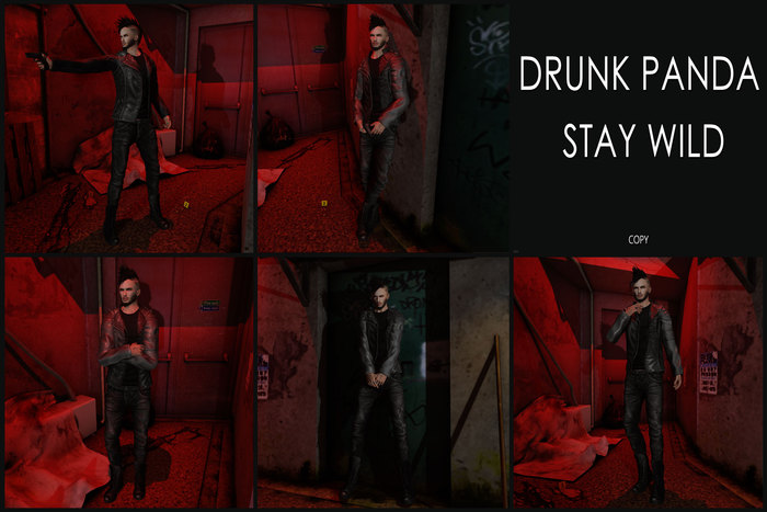 Drunk Panda - StayWild - Single