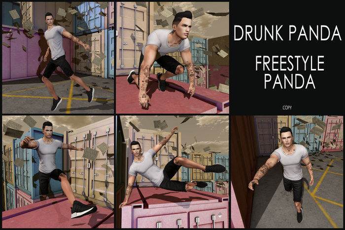 Drunk Panda - FreestylePanda - Single