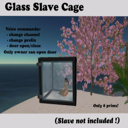 Glass Cage
