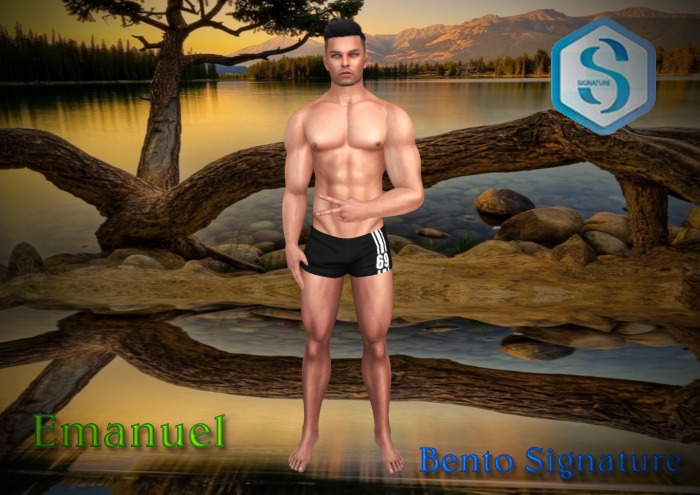 [ T.B.S ] Emanuel  Shape Bento