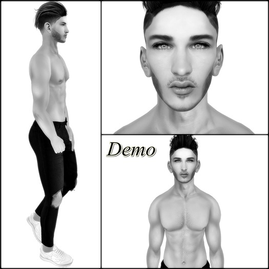 Marco Shape  * DEMO *