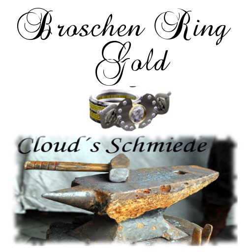 Broschen Ring Gold