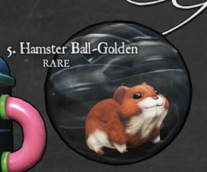 rare hamsters