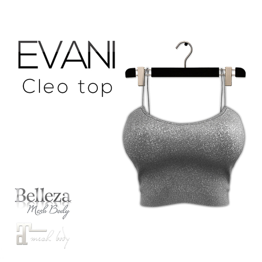EVANI-Cleo top [Silver]