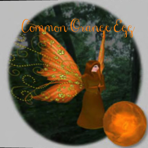 WW_Egg Common Orange Fairy 5.0.0