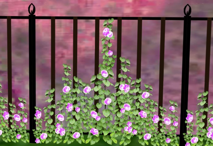 Fence Railing with Morning Glories 7