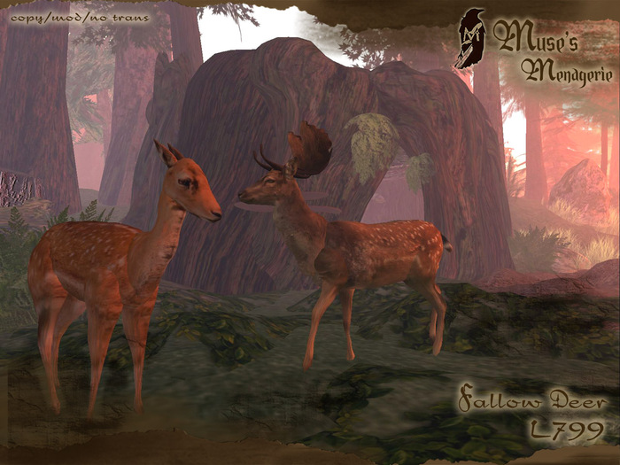 Muses Menagerie - Fallow Deer pack