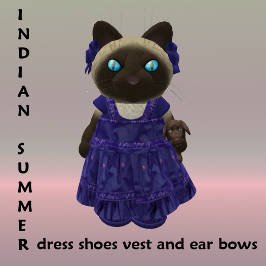 Tiny Inc Indian Summer tiny dress outfit - blue (boxed)