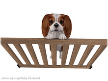 JIAN Splendid Spaniels E*BOX 3. Pupper Gate RARE