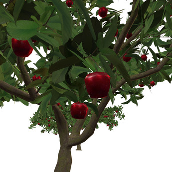 Second Life Marketplace - Digitize Orchard Apple Tree (fruited)