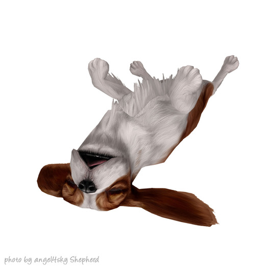 JIAN Splendid Spaniels E*BOX 18. Upside Down Sleeper