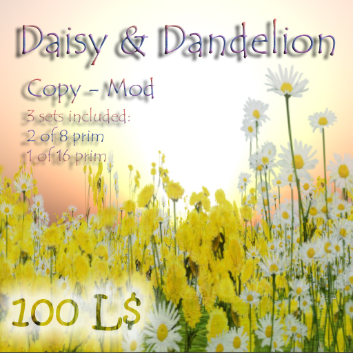 Daisy & Dandelion 