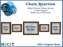 *T.S.* Chain Reaction Picture Frames