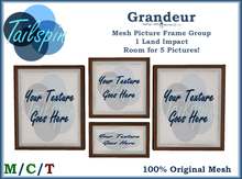 *T.S.* Grandeur Picture Frames