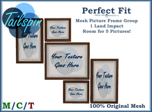 *T.S.* Perfect Fit Picture Frames