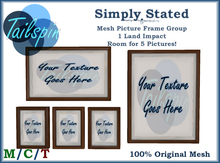 *T.S.* Simply Stated Picture Frames