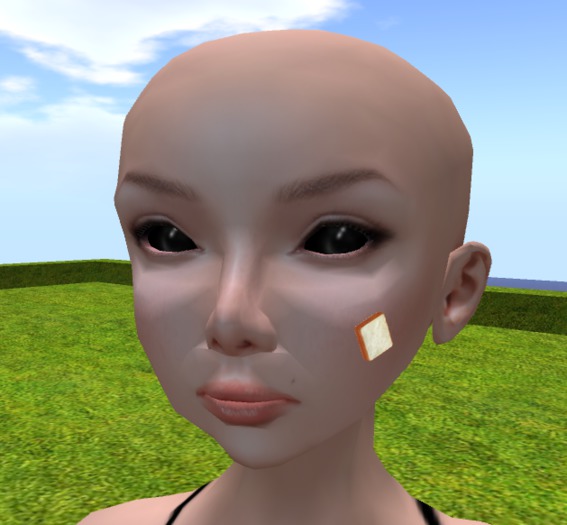 +DS+ BREAD FACE -PLAIN-