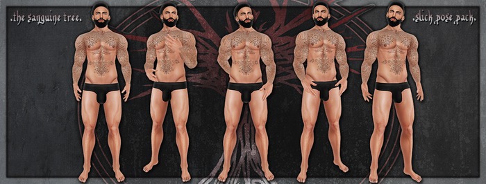 [ the.sanguine.tree ] Slick Pose Pack [ WEAR & CLICK ]
