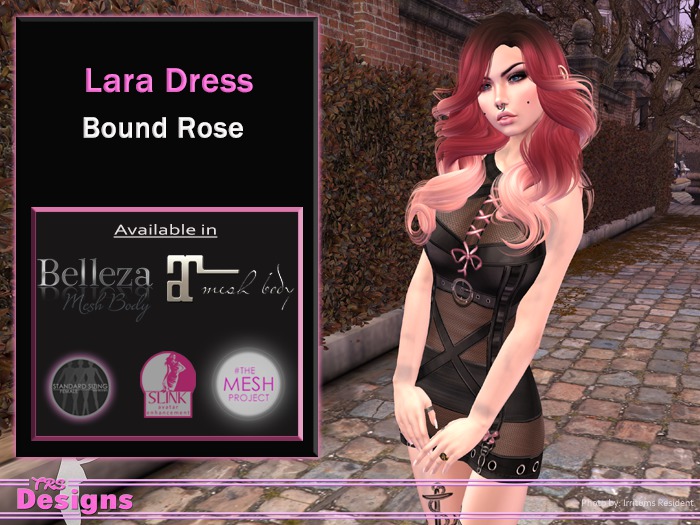 Lara Dress Bound Rose