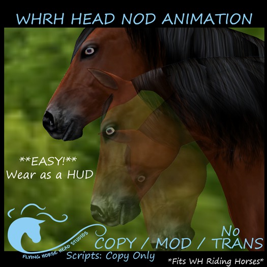 WH Riding Horse Head Nod Animation 