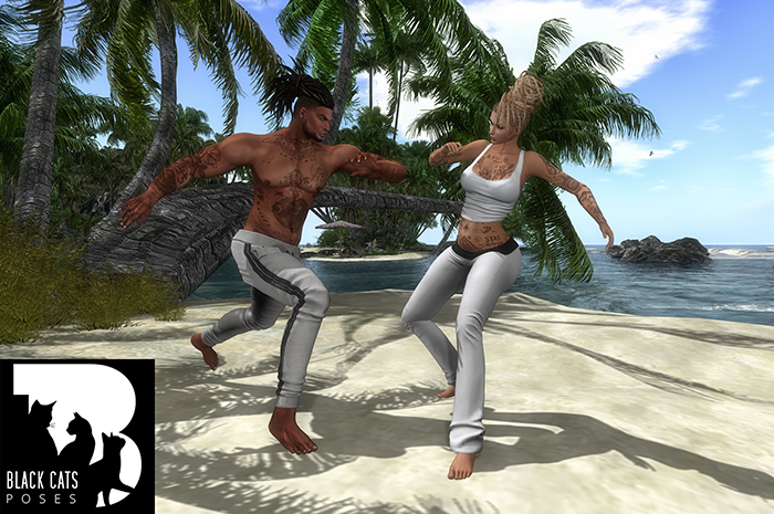 Black Cats poses - Capoeira 1