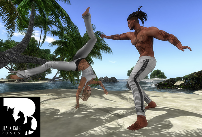 Black Cats poses - Capoeira 2