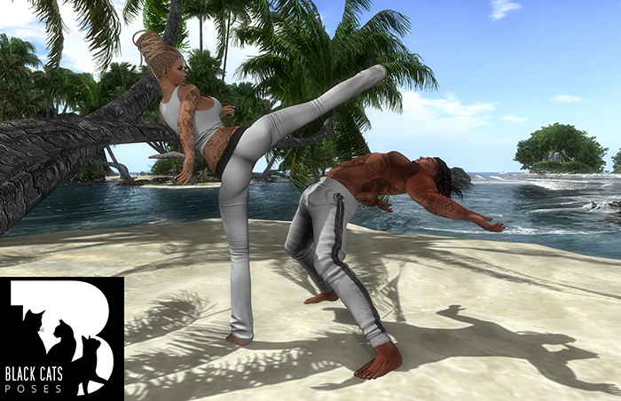 Black Cats poses - Capoeira 3