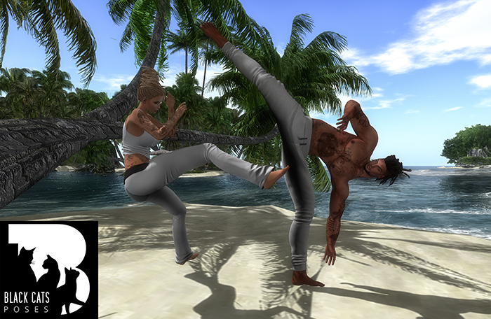 Black Cats poses - Capoeira 4