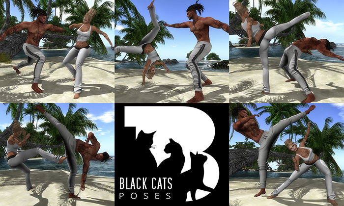 Black Cats poses - Capoeira FATPACK