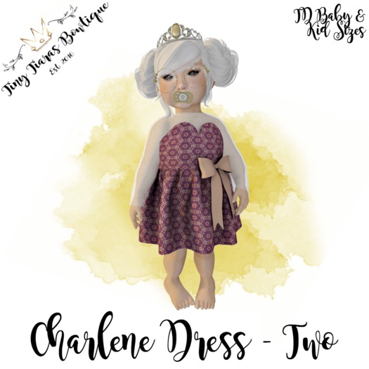 Tiny Tiaras Bowtique - Charlene Dress  / Two